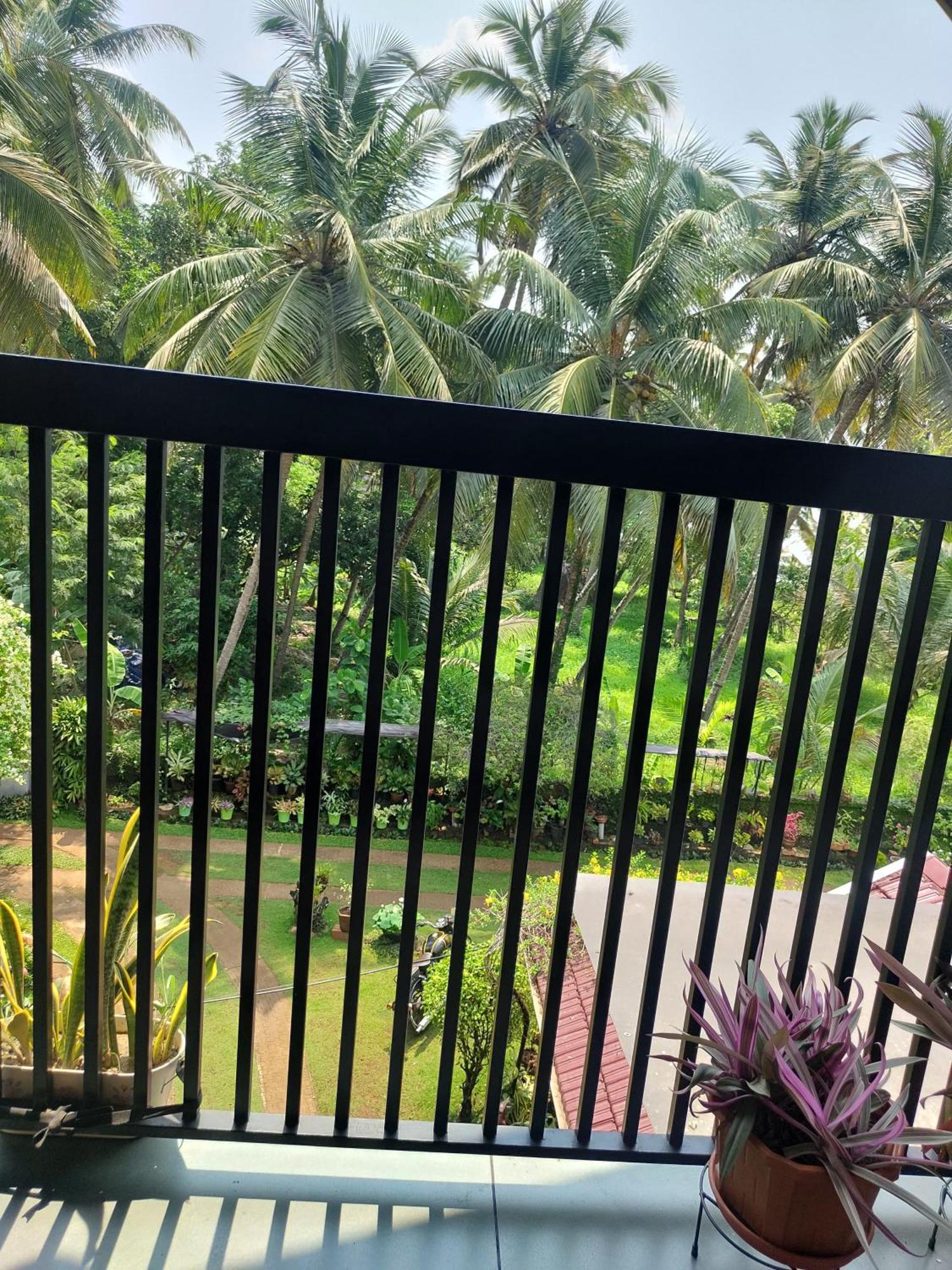 Maleyam Homestay Riverside Kozhikode Exteriör bild